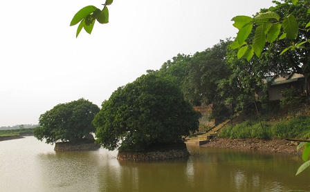 Làng thuần nông quanh năm… sạch như Tết